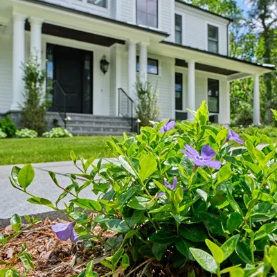 house with nice flowers outside