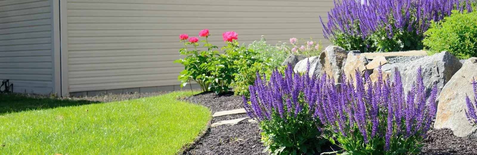 healthy vibrant plants next to house