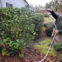 plant-spray